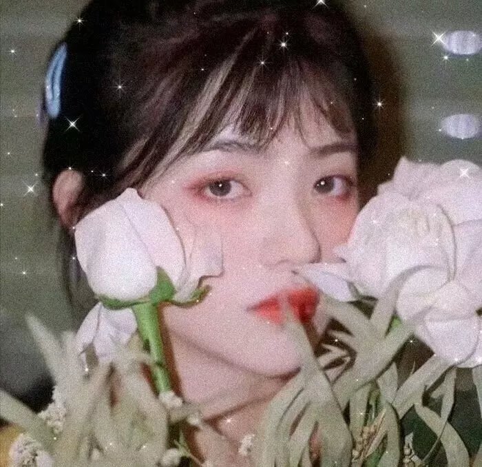 珍珠传奇